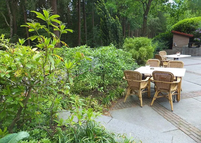 Charme Overbosch خارديرن